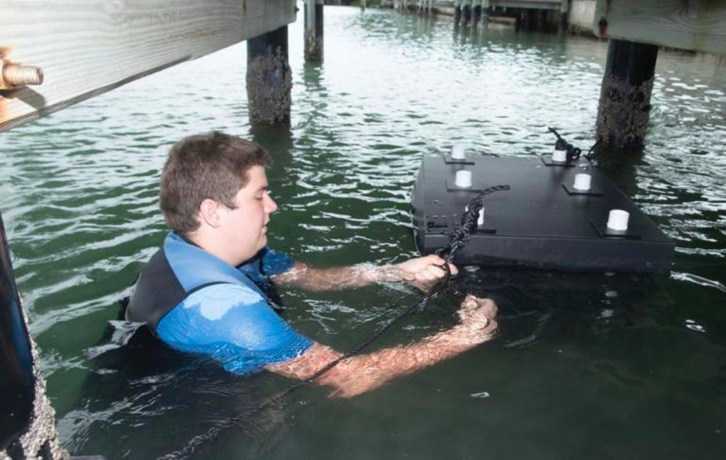 Miniature artificial reefs at home in Lemon Bay